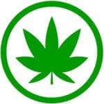 cropped green cannabis leaf on the white bakground herbal cannabis hemp leaf symbol vector1